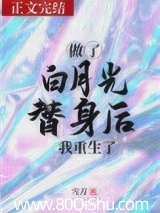做了白月光替身後我重生了 封面