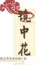 镜中花 封面