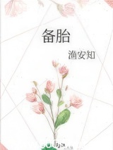 備胎 封面