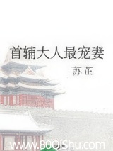 首輔大人最寵妻 封面