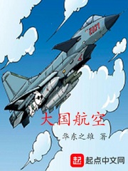 大國航空 封面