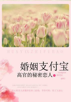高官的秘密戀人:婚姻支付寶 封面