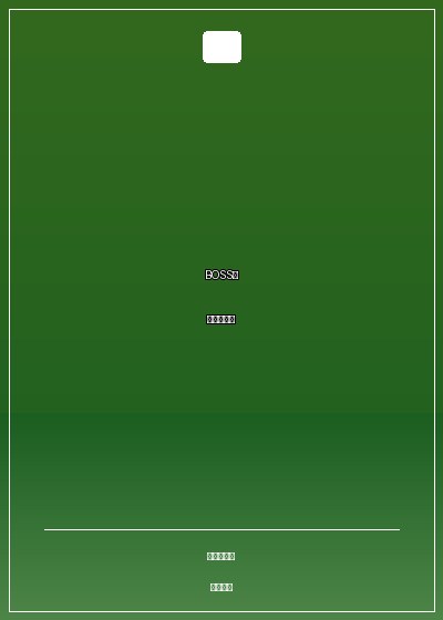 BOSS,那里不能插