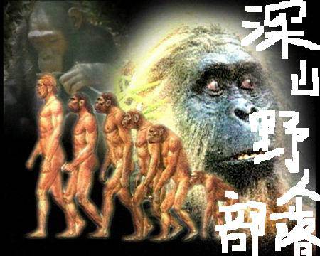 深山野人部落