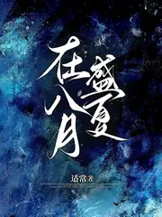 在八月盛夏 封面