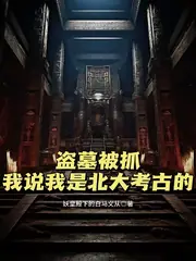 盜墓被抓：我說我是北大考古的 封面