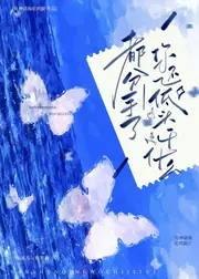 見軟 封面