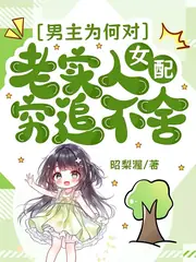 男主為何對老實人女配窮追不捨 封面