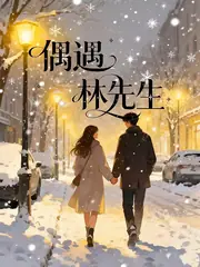 偶遇林先生 封面