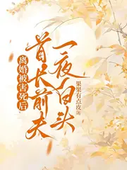 重生揣崽去部隊后，被前夫親哭了 封面