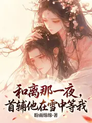 和離那一夜，首輔他在雪中等我 封面