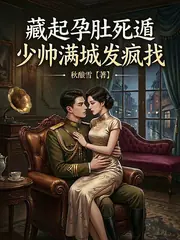 藏起孕肚死遁，少帥滿城發瘋找 封面
