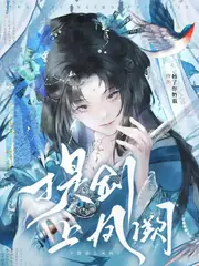 提劍上鳳闕 封面