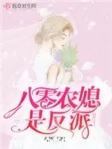 八零農媳是反派 封面