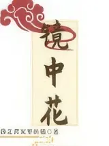 鏡中花 封面