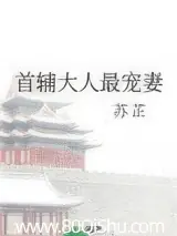 首輔大人最寵妻 封面