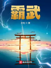 霸武 封面
