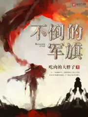 不倒的軍旗 封面