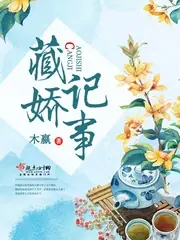 藏嬌記事 封面