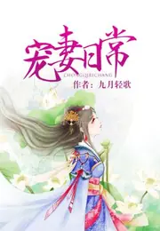 寵妻日常 封面