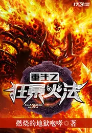 重生之狂暴火法 封面