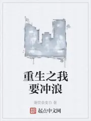 重生之我要衝浪 封面