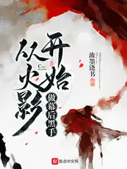 從火影開始做幕後黑手 封面