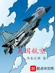 大國航空 封面