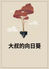 大叔的向日葵 封面