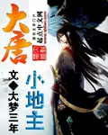 大唐小地主 封面