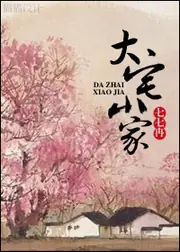 大宅小家 封面