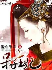 呆子王妃 封面