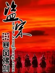 盜宋 封面