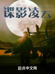 諜影凌雲 封面
