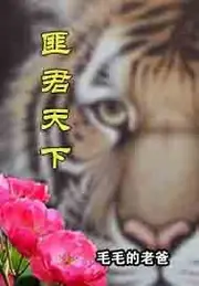 匪君天下 封面