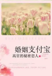 高官的秘密戀人：婚姻支付寶 封面