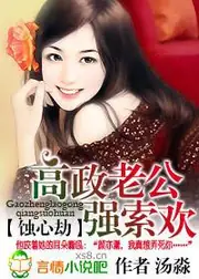 高政老公強索歡 封面