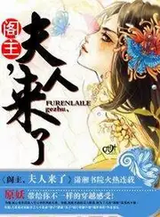 閣主,夫人來了 封面