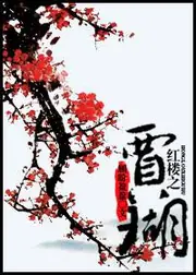 紅樓之賈瑚 封面