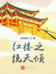 紅樓之挽天傾 封面