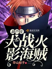 葫蘆娃大戰火影海賊 封面
