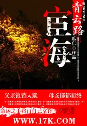 宦海青雲路 封面