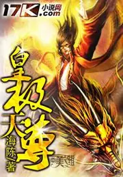 皇極天尊 封面
