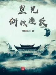 皇兄何故造反？ 封面