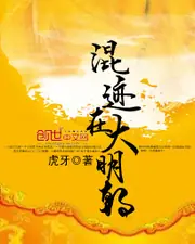 混跡在大明朝 封面