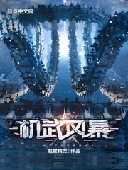 機武風暴 封面