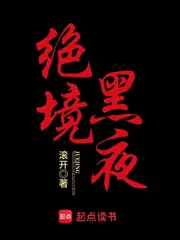 絕境黑夜 封面