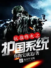 抗戰烽火之護國系統 封面