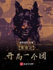 亮劍之開局一個團 封面