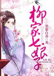 柳家七娘子 封面